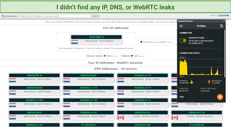 IP, DNS, and WebRTC Leaks